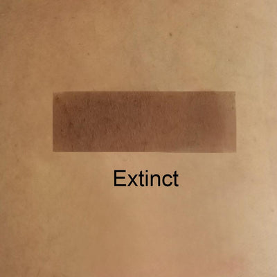 Extinct - Dark Brown Matte Eye Shadow